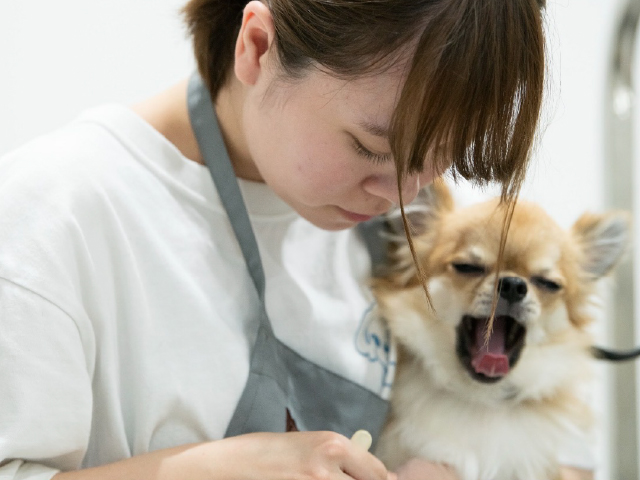 Work style HMCらしい働き方